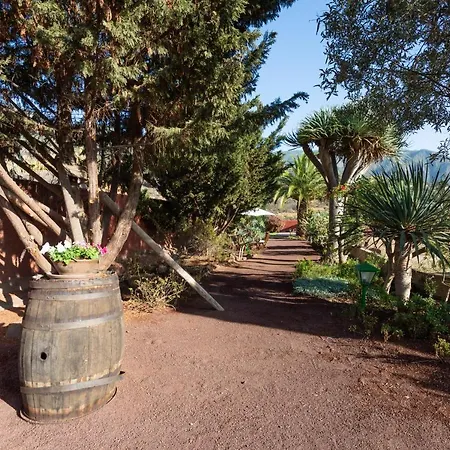 Casa Del Cura Viejo Arafo
